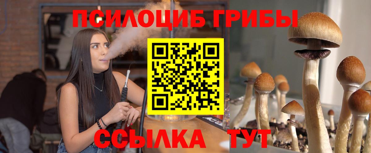 Псилоцибиновые грибы Cubensis Альметьевск